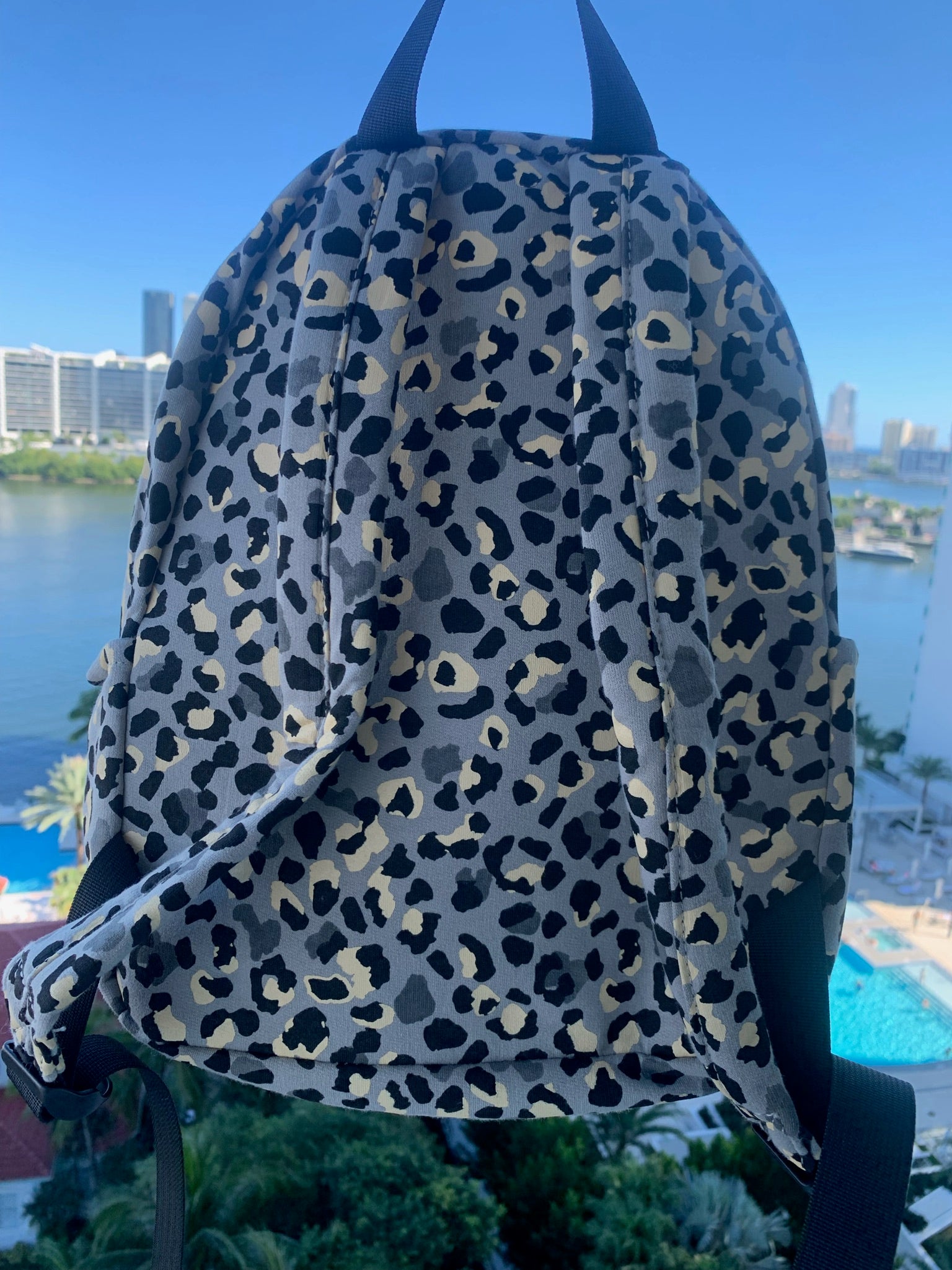 Cheetah Big Backpack
